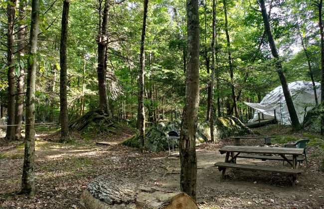 Abrams Creek Center - Foto 39