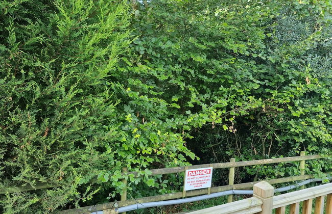 Glamping Hut - Sleeps 2, hot tub & Parking - Foto 5