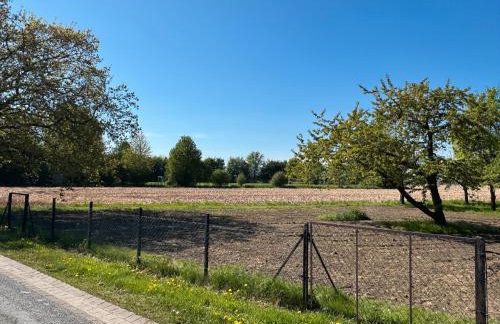 M und S - Landidyll am Weiher - Foto 10