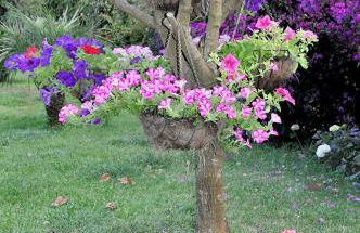 Quinta O Refúgio - Foto 22