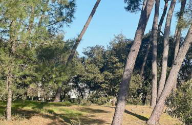 L’Archipel de Talmont - Foto 38