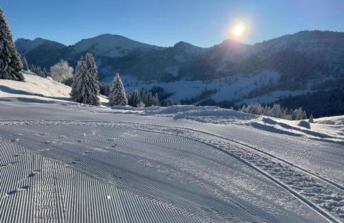 KUH'les Hideaway Steibis 3-Zimmer Ferienwohnung 55 m² - Foto 36