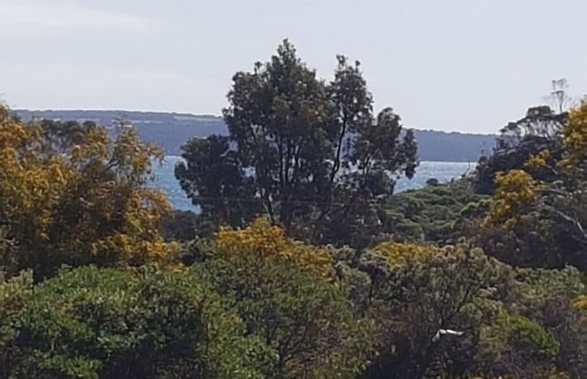 Gilligan's Kangaroo Island - Foto 22