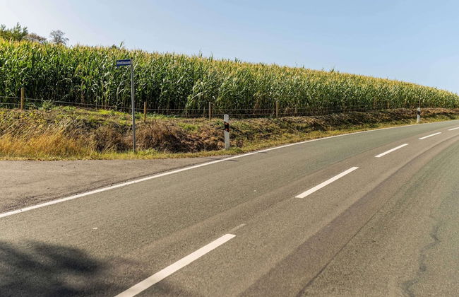 Quiet, Cozy Apartment in Menkhausen near Ski Area - Foto 27