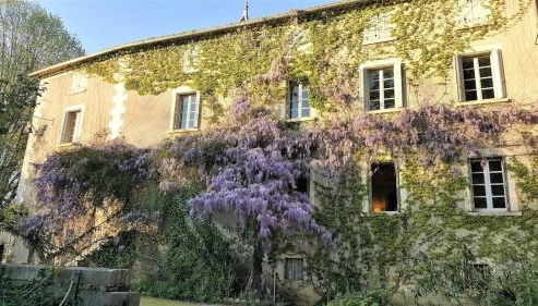 Villa historique à Berrias-et-Casteljau, 350 m² avec piscine privée - Foto 5, Garden