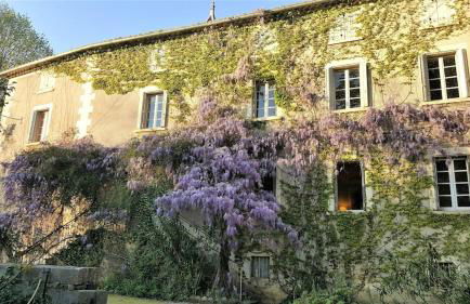 Villa historique à Berrias-et-Casteljau, 350 m² avec piscine privée - Foto 5