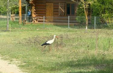 Dom z Bali 1 Głęboczek - Foto 28