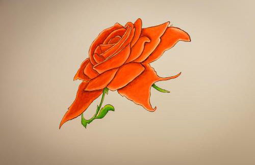 appartamento NONNA ROSA - Photo 24