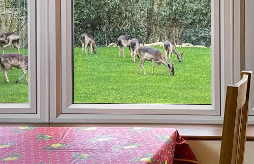 Church Cottage - Foto 9