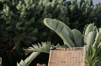 Herdade d' Amoreira Lavanda Villa - Foto 71