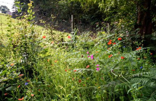 Luxury Coastal Shepherds Hut with hot tub, dining dome & a 5 Minute Walk to Pubs and Village - Foto 18