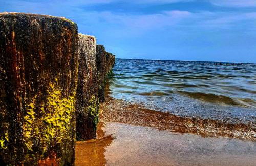 Ferienhaus Am Achterwasser - Photo 66