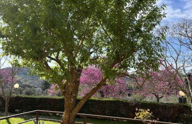 Chianti's Secret Nest - Cozy home with sunset view - Foto 42