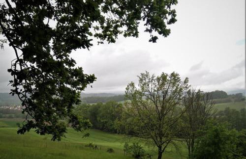 Ferienwohnung Zum Bienenstock - Photo 6