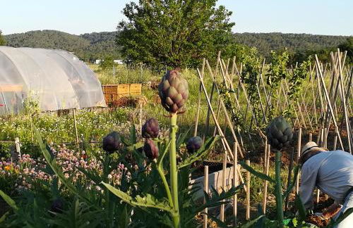 La Ferme Constantin - Foto 51