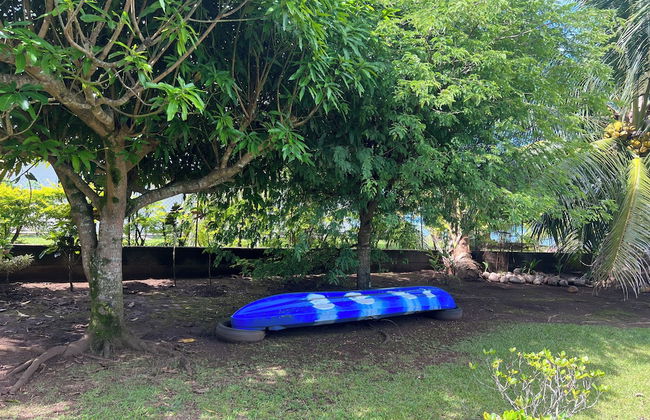 Fare Mama Rota - Photo 31