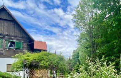 Apartments Montana - Foto 42