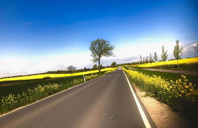 Stilvolle Wohnung mit Garten in Kluetz - Foto 25