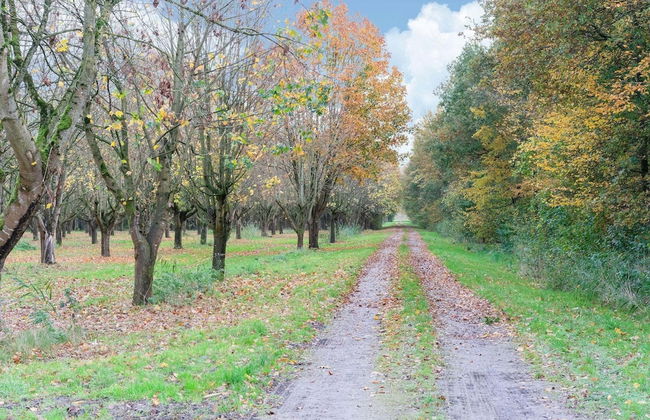 Holiday Home in Zeewolde With Pool - Foto 27