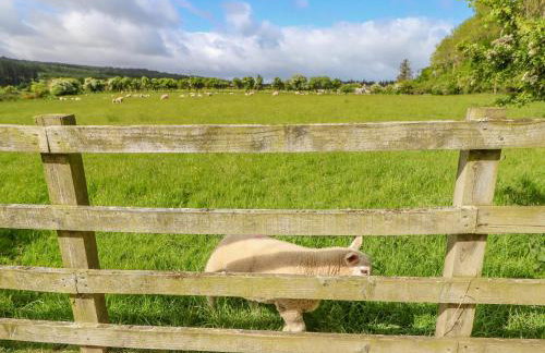 Moorgair Cottage - Foto 29