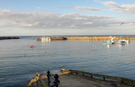 Wavelet Cottage - a Staithes gem - Foto 37