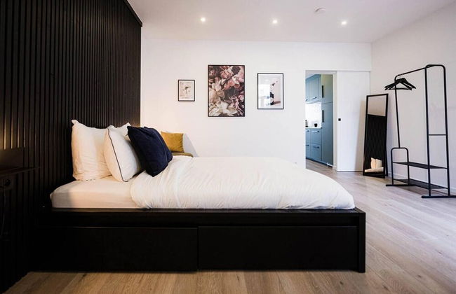 Gorgeous Apartment in old City Centre of Antwerp 1 - Photo 9