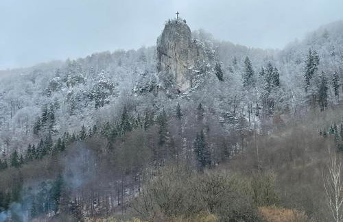 ZwergDackelAdlerHirsch - Foto 32