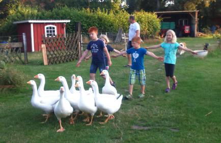 Ferienhof Heidemann - Foto 16