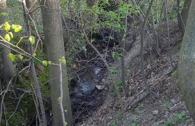 Bujaków, apartamenty Zdrojowa 58a - Foto 36