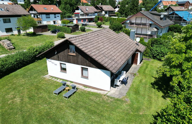 Vergissmeinnicht - Foto 12