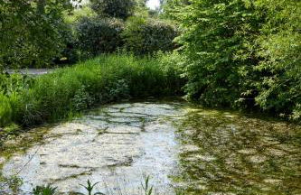 Restaries at Paradise Farm - Foto 19