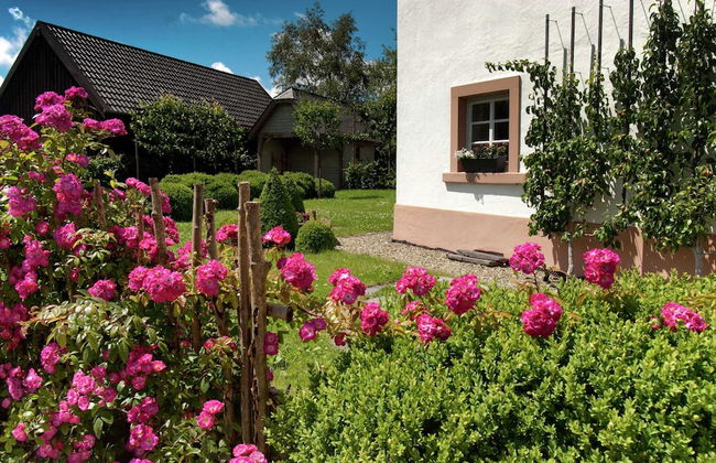 Holiday Home in Bullange With Sauna - Foto 30