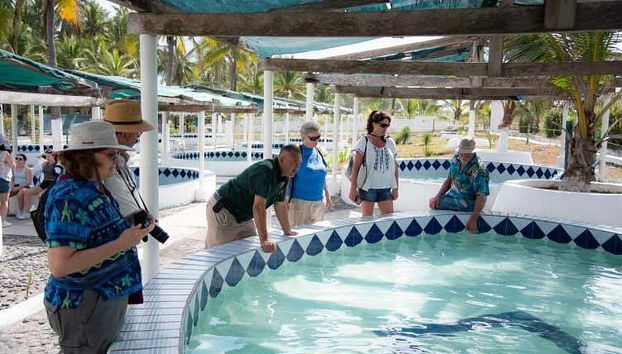 Tartarugário Ecológico de Cuyutlán