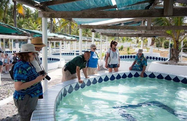 Excursión al Tortugario Ecológico y la laguna de Cuyutlán - Foto 4