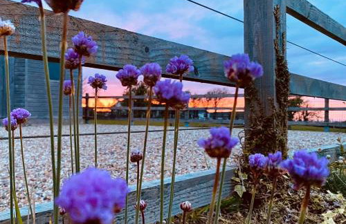 Sea View at Widemouth Bay - 3 bedroom cottage - all rooms Twin or King - Foto 22