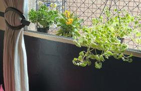 7 minutes from the beaches of São Vicente, come and see! - Foto 50