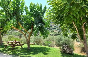 Lily Home_Lefkada ~ Private Country house - Foto 46