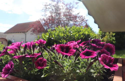 Ferienwohnung Pimer - Foto 19