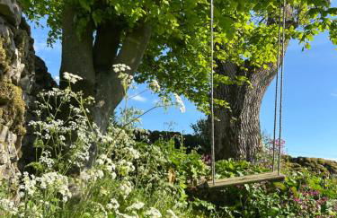 Thors Cave Cabin, Peak District - Photo 35