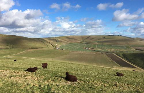 Unique Artists studio with a private garden. - Foto 25