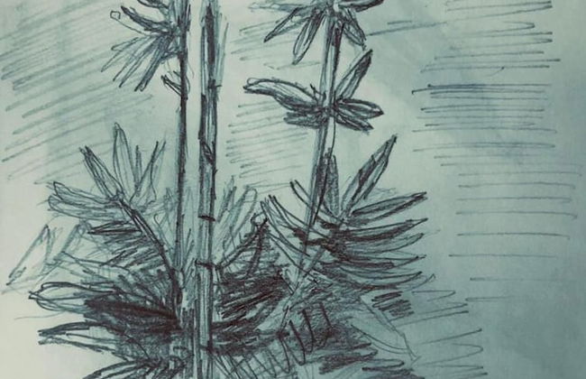 Talalla 170 Villa - Foto 22