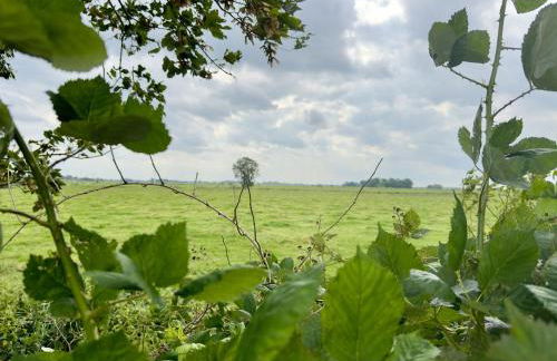 FeWo Nordseeflair OG - Wiarden - Foto 23