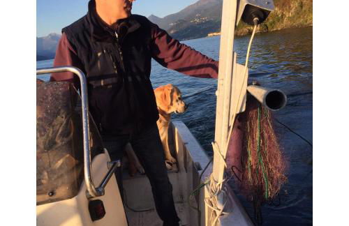 Mella Bellagio -La Corte - at the Lake with parking - Foto 32