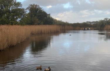 Maison de charme au calme - Foto 40
