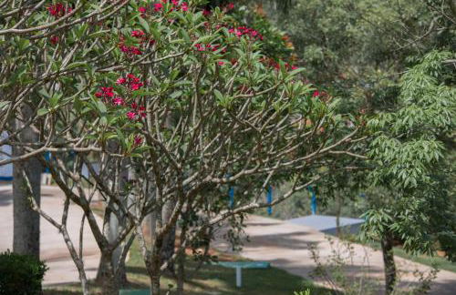 Chácara das Araras - Foto 59