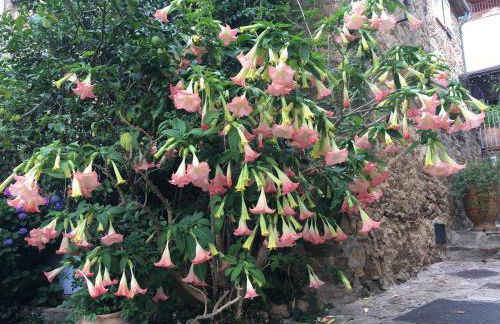 Studio Liège, vue mer au village de Bormes les Mimosas - Foto 17