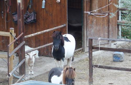 Country House Poggio Fiorito - Foto 63