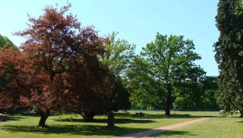 Schloss Badow Comfortable holiday residence - Foto 3, Other