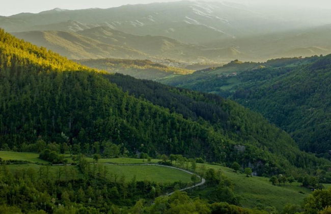 Welcoming Mobile Home in Toscana With Garden - Photo 33