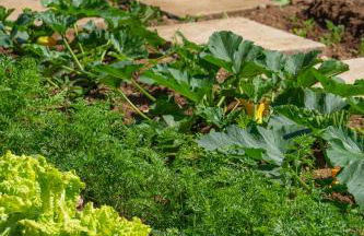 Quinta Vale Vitis - Foto 42